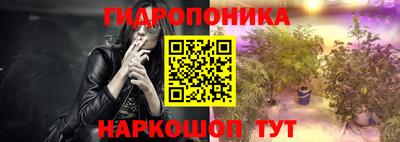гашик Малгобек