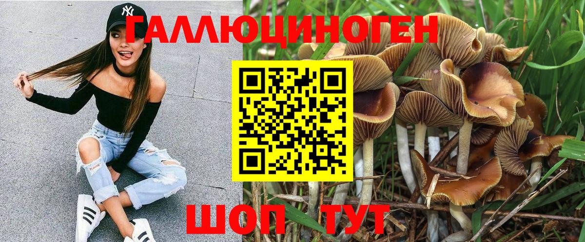 Псилоцибиновые грибы Cubensis Домодедово