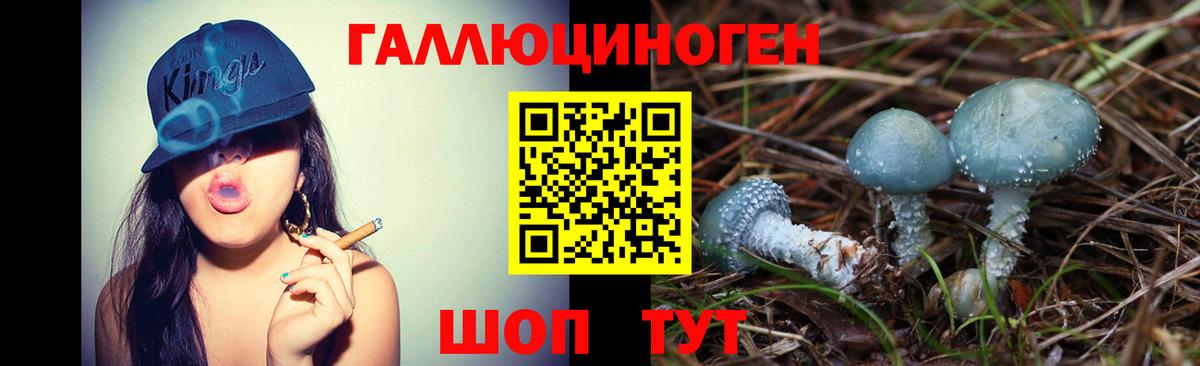 Псилоцибиновые грибы Psilocybine cubensis  Вход с VPN  Домодедово  Псилоцибиновые грибы мицелий 